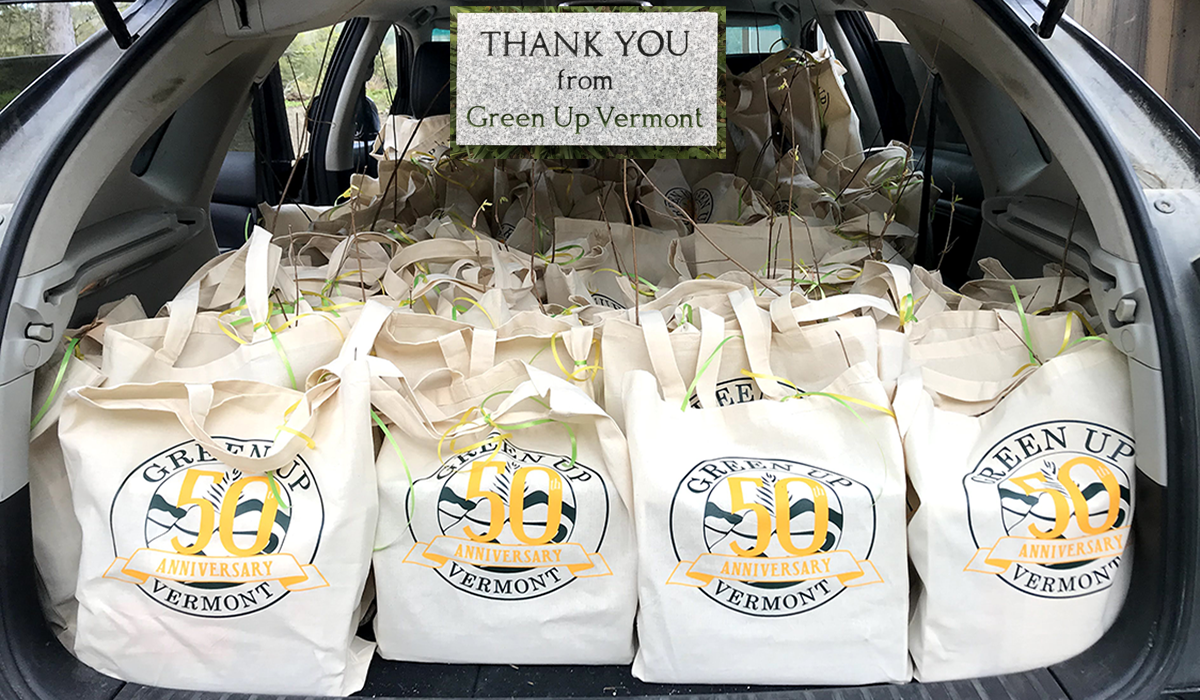 50th gift bags copy